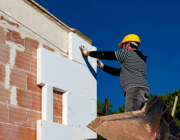 Best Insulation Maintenance and Repair in Manila, AR