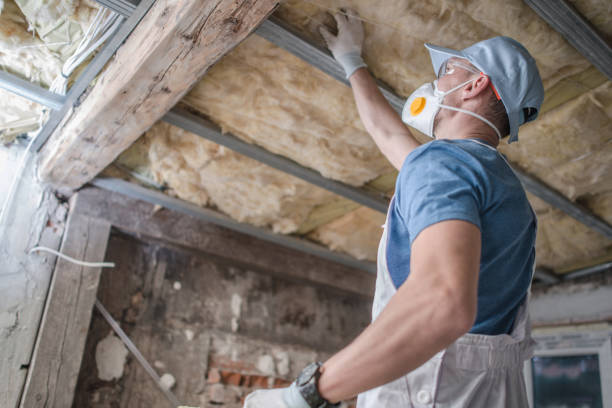 Best Specialized Insulation Services in Manila, AR
