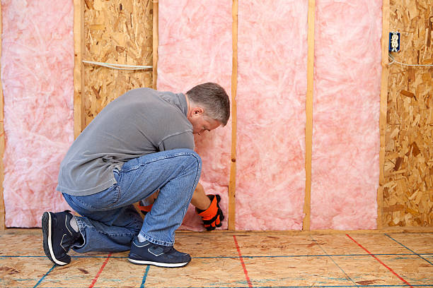 Best Blown-in Insulation in Manila, AR